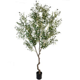 AfanD full 8ft faux olive tree creating instant greenery