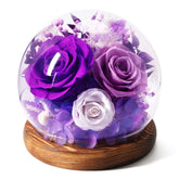 AIMEYE front view glass dome purple rose showcasing long-lasting elegance