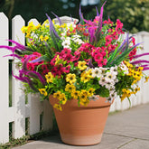 AITISOR front packaging showing full 20-pack outdoor bouquet, instant curb appeal
