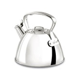 All‑Clad front view showing compact shape and polished finish, reliable boiling