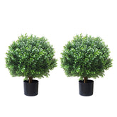 ALL SEASON GREEN front display of set of two potted topiaries showing neat curb appeal