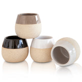 Amarcado front packaging set of four showing variety and gift appeal