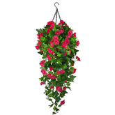 Ankey hanging basket front view showing full morning glory cascade and instant curb appeal