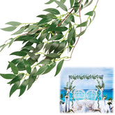 ANPHSIN front packaging showing five vines and total length benefit