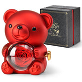 Anthonic teddy bear front view with preserved rose visible benefit long-lasting display