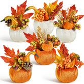Artmag front view of six pumpkins, ready-to-display autumn decor