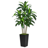 ASTIDY dracaena front view showing full 5ft height and modern planter benefit