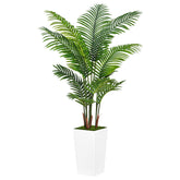 ASTIDY front view of full 5ft palm tree showing ready-to-display greenery benefit