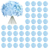 Auihiay front view of blue hydrangea bunch shows full, ready decor
