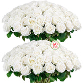 Auihiay front view bundle showing 60 white roses for full event coverage