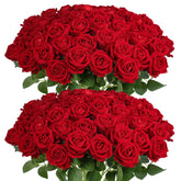 Auihiay red roses front view showing full bouquet and vibrant color