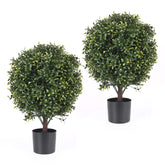 AUMMOOH front view spiral topiary pair showing instant curb appeal
