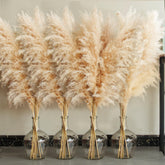 Bannifll front view of 20 stems showing full beige plumes and packaging, easy styling benefit