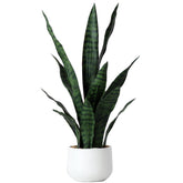 Beebel front view of 22-inch snake plant showing full realistic silhouette and easy styling