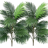 Beebel front view of two palm stems showing full tropical presence