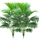 Beebel front view palm bush showing full 30 inch height and lush greenery benefit