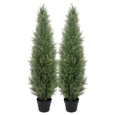 bellacat front view of two 4ft topiary trees showing curb appeal and symmetry