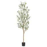 bellacat faux olive tree front view showing full height and elegant silhouette
