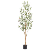 bellacat front view of faux olive tree showing full height and styling benefits