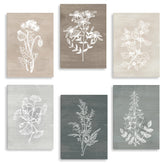 BINCUE front view of six-piece canvas set showing neutral botanical prints and cohesive style