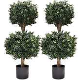 BLONYUVC front view of two-pack topiaries, instant curb appeal