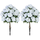 BLOSMON front view of hydrangea tree showing full canopy and curb appeal
