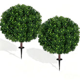 bloyapix front view showing two topiary trees brightens entryway