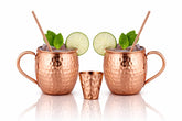 BOLD & DIVINE front view pair showing polished copper appeal and instant visual upgrade