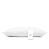 BOLL & BRANCH soft standard pillow front view showing plush loft and clean finish