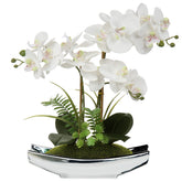 Briful front view showing full orchid arrangement and elegant silver pot, adds instant style