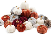 BURTINI front display of entire 18-piece set showing color variety and styling benefit