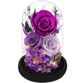 Casaido front view of glass dome showing purple preserved rose and elegant display benefit