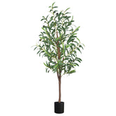 CETRD olive tree front view showing full realistic silhouette and easy styling