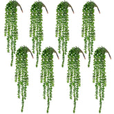 CEWOR front view of 8-piece hanging succulents showing packaging and value