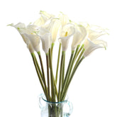 cn-Knight front packaging showing ten boxed calla lily stems and clear presentation benefit