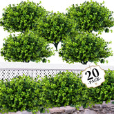 ColoPlay front view of 20 boxwood bundles showing value and full coverage