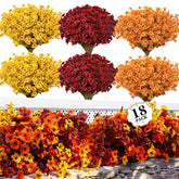ColoPlay front packaging showing full 18-piece mum bundle and colors