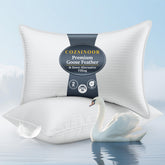COZSINOOR front packaging showing two queen pillows and inviting comfort