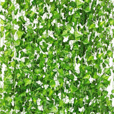 CQURE front packaging showing 48 ivy vines and total 336ft for easy coverage