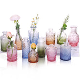 CUCUMI front packaging showing all twelve vases, ready to gift