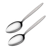 CURISEW front view of two stainless steel chef spoons showing form and finish for precise serving