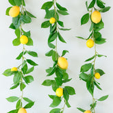 dallisten front packaging showing three 71 inch lemon vines and leaves — instant decor