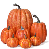DearHouse front view of full 7-piece pumpkin set showing harvest appeal