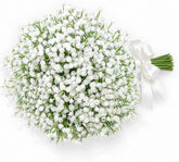 DEEMEI front pack of white baby’s breath showing quantity and tidy stems for easy use