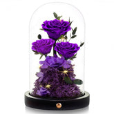 DENIMOMO glass dome front view showing elegant preserved roses and display benefit