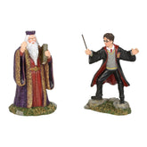 Department56 front view of Harry and Dumbledore figures showing collectible detail