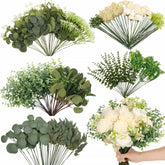 Dexpinzo front packaging showing full 120-piece eucalyptus bulk set and easy selection