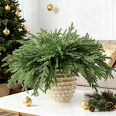 DN DECONATION front packaging showing twelve faux Norfolk pine stems with polished finish