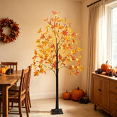 DR.DUDU front view of full 5 ft maple tree showing seasonal appeal