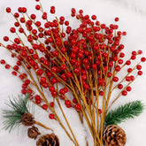 DR.DUDU front packaging view showing bright berries adding holiday color